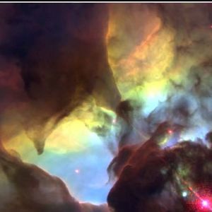 Meet your Posher, Roxane